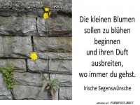 Kleine Blumen