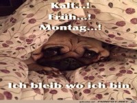 Montag