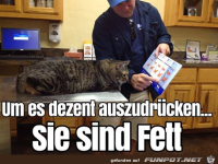Ziemlich dezent ausgedr�ckt