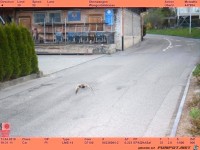 Sie war mit 52 km/h in eine 30er-Zone geflogen