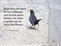 moege dann und wann ein lied aufsteigen