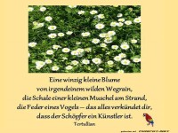 Eine winzig kleine Blume