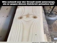 Sieht wirklich aus wie ein Strau�