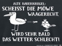 Bauernregel