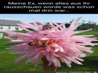Da waren viele drin