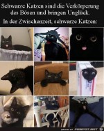 Schwarze-Katzen.jpg auf www.funpot.net