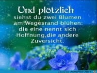 Und plötzlich siehst du zwei Blumen