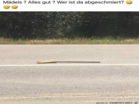 Wer ist hier abgeschmiert