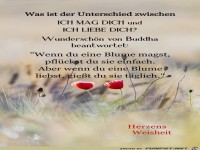 Was ist der Unterschied