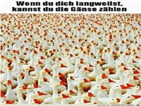 G�nse z�hlen