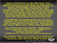 Neue Attraktion in der Manege