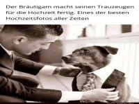 Hund als Trauzeuge im Hochzeitsoutfit