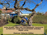 alle kraft, die wir fortgeben