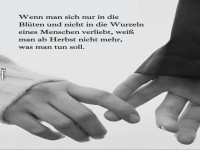 Nachdenkliches Zitat ber Liebe und Wurzeln