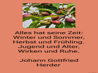 alles hat seine zeit