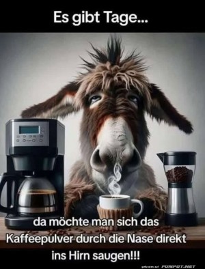 Wenn-Kaffee-allein-nicht-reicht!.jpg auf www.funpot.net