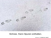 Detektivarbeit der frostigen Art