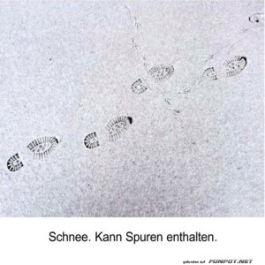 Detektivarbeit-der-frostigen-Art.jpg von Schneeflittchen