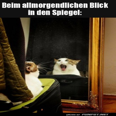 Spiegeltricks-am-Morgen.jpg von Benno-2011
