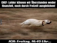 Der Freitags-Fluchtimpuls