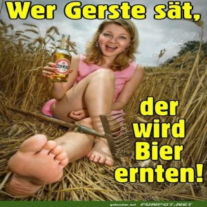 Erntezeit-für-Gerstensaft.jpg von Felia-51