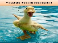 Wochenende