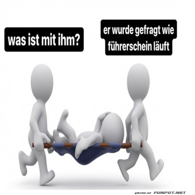 Lizenz-zum-Umliegen:-F&uuml;hrerscheinfrage!.jpg von Leona