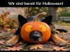 weiter