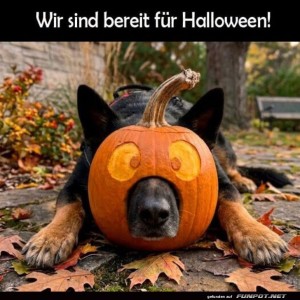 Kürbis-Kopfbedeckung:-Herbstmodus-aktiviert!.jpg von SexOnTheBeach