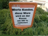 image-527569-galleryV9-vvst