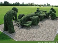 im Garten