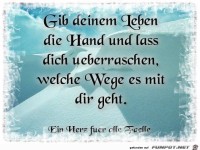 Gib deinem Leben