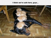 Hier sind wir sicher