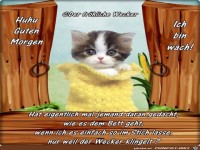 Huhu Guten Morgen