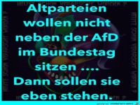 Die AfD im Bundestag