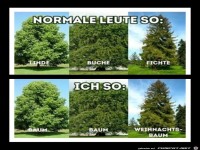 Der feine Unterschied