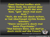 Zwei Dackel treffen sich