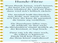 Hundefrze 2018