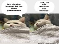 Das Problem des Hundes