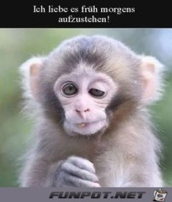 Ich-stehe-gerne-früh-auf.jpg auf www.funpot.net