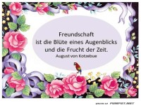 Freundschaft ist die Bluete 2