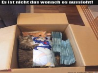 Anders als es aussieht