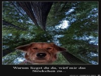 Werf mein St�ckchen