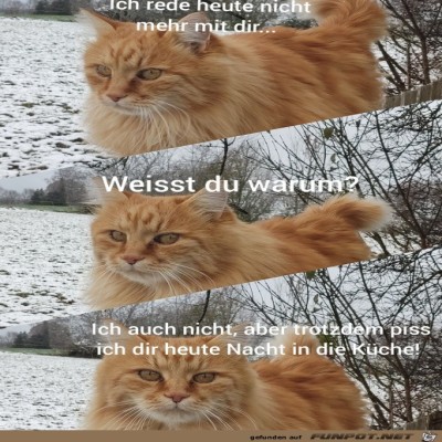Ich-rede-nicht-mehr-mit-dir.jpg von Matteo