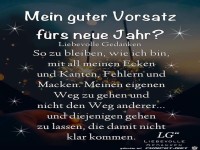 Mein guter Vorsatz aufs neue Jahr