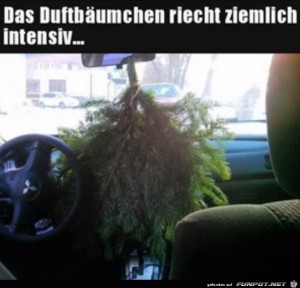 Gro�er-Duftbaum.jpg auf www.funpot.net