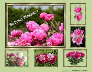 Pfingsten-1.jpg auf www.funpot.net