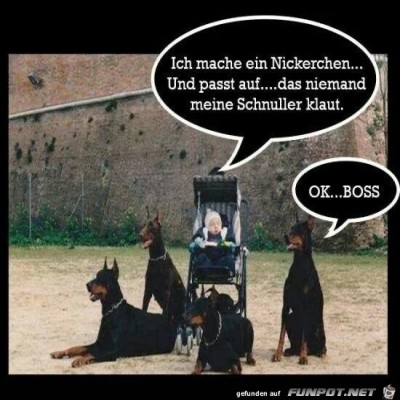 Der-Chef-macht-ein-Nickerchen.jpg von Posseidon64