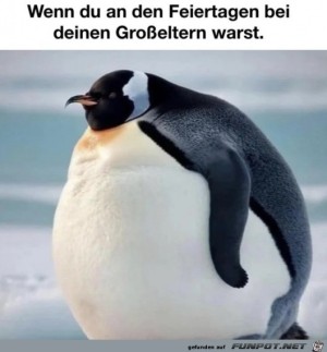 Es-gab-viel-Essen.jpg auf www.funpot.net