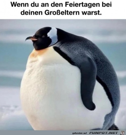 Es-gab-viel-Essen.jpg auf www.funpot.net